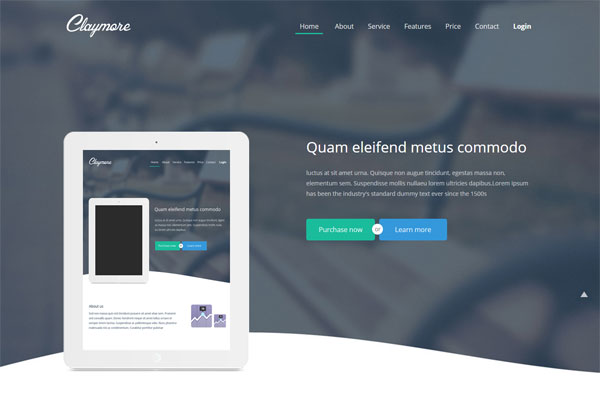 攻击网站在线工具